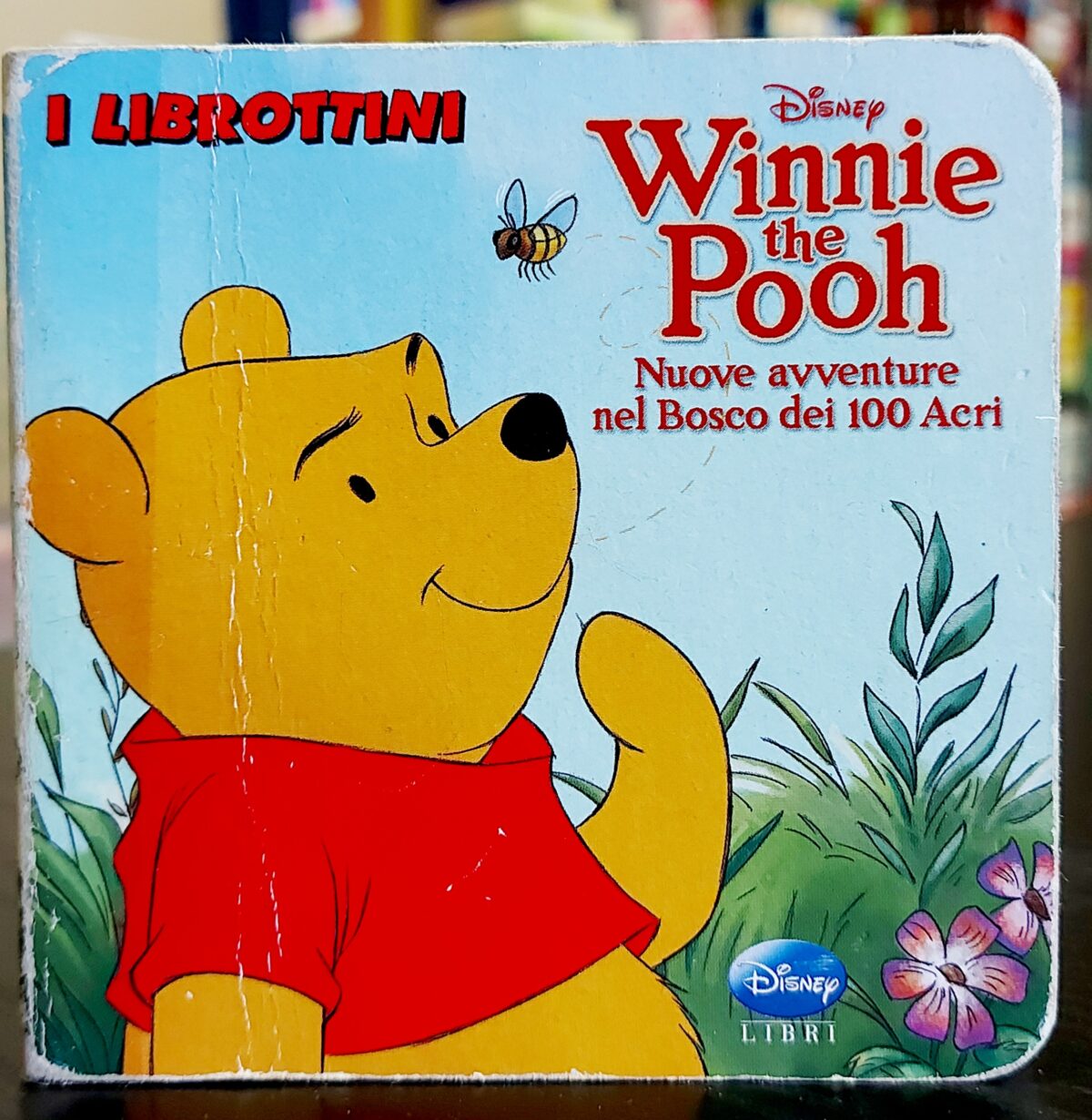 Le Nuove Avventure Di Winnie The Pooh