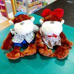 COPPIA DI SCIMPANZE'