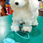 BARBONCINO BIANCO AL GUINZAGLIO