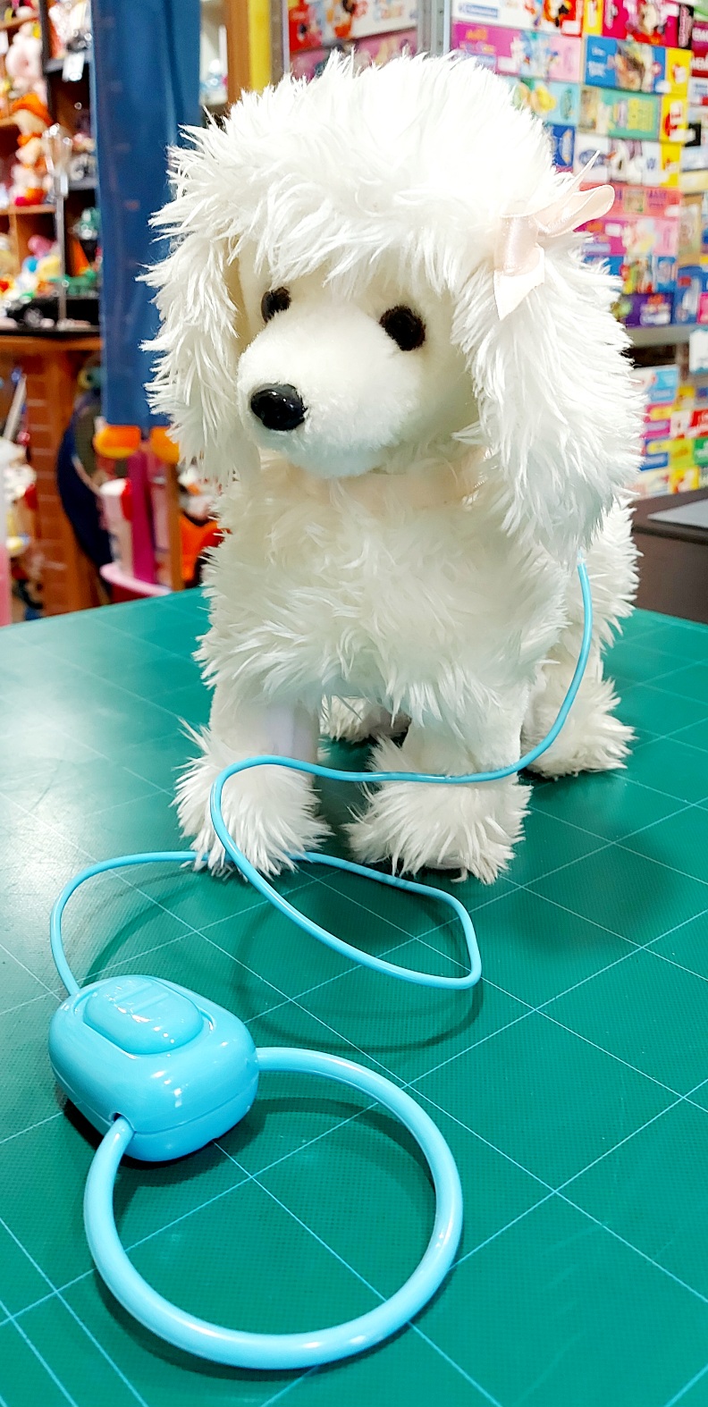 BARBONCINO BIANCO AL GUINZAGLIO