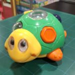 TARTARUGA DONDOLINA - immagine 2