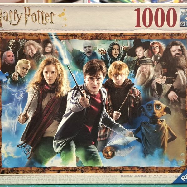 IL MAGO HARRY POTTER